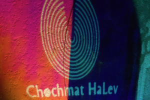 Welcome Lantern (Chochmat Halev, Berkeley), 2020, Radiant Film/Silhouettes/Acrylic Disc, 36inHx30inWx12inD